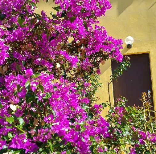 Vistazzurra לינה וארוחת בוקר אנקונה