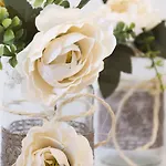 Vistazzurra Bed & Breakfast Ancona
