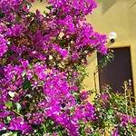 Vistazzurra B&B 안코나