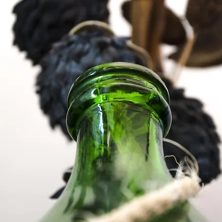 Vistazzurra Bed & Breakfast Ancona