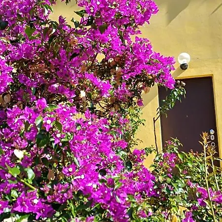Bed and Breakfast Vistazzurra 4*